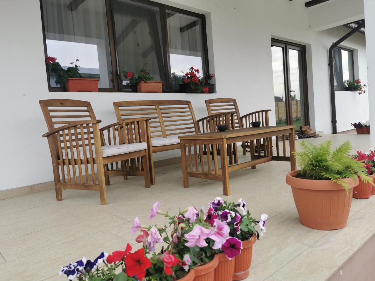 Family House Homestay Pristol